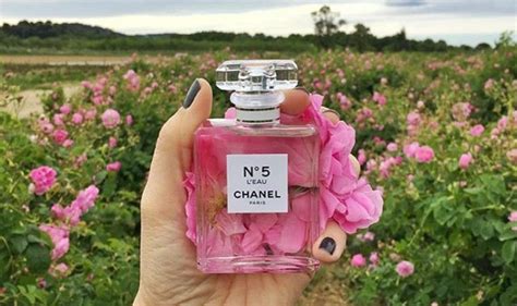 chanel n5 grasse|how is Chanel no 5 made.